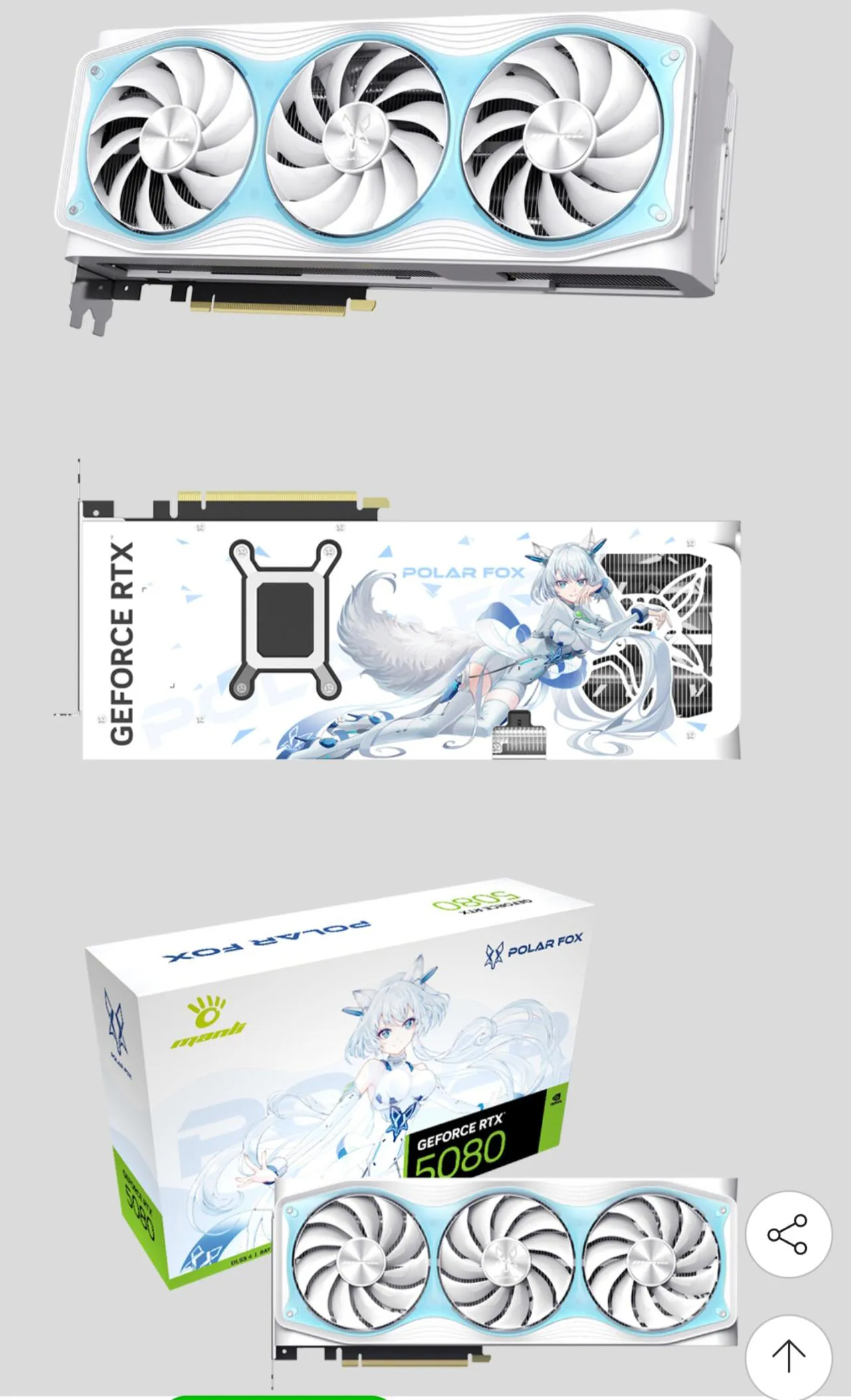 11072.jpg [G마켓] MANLI RTX 5080 Polar Fox D7 OC 16GB 인텍앤컴퍼니 (1,907,000원) (무료)