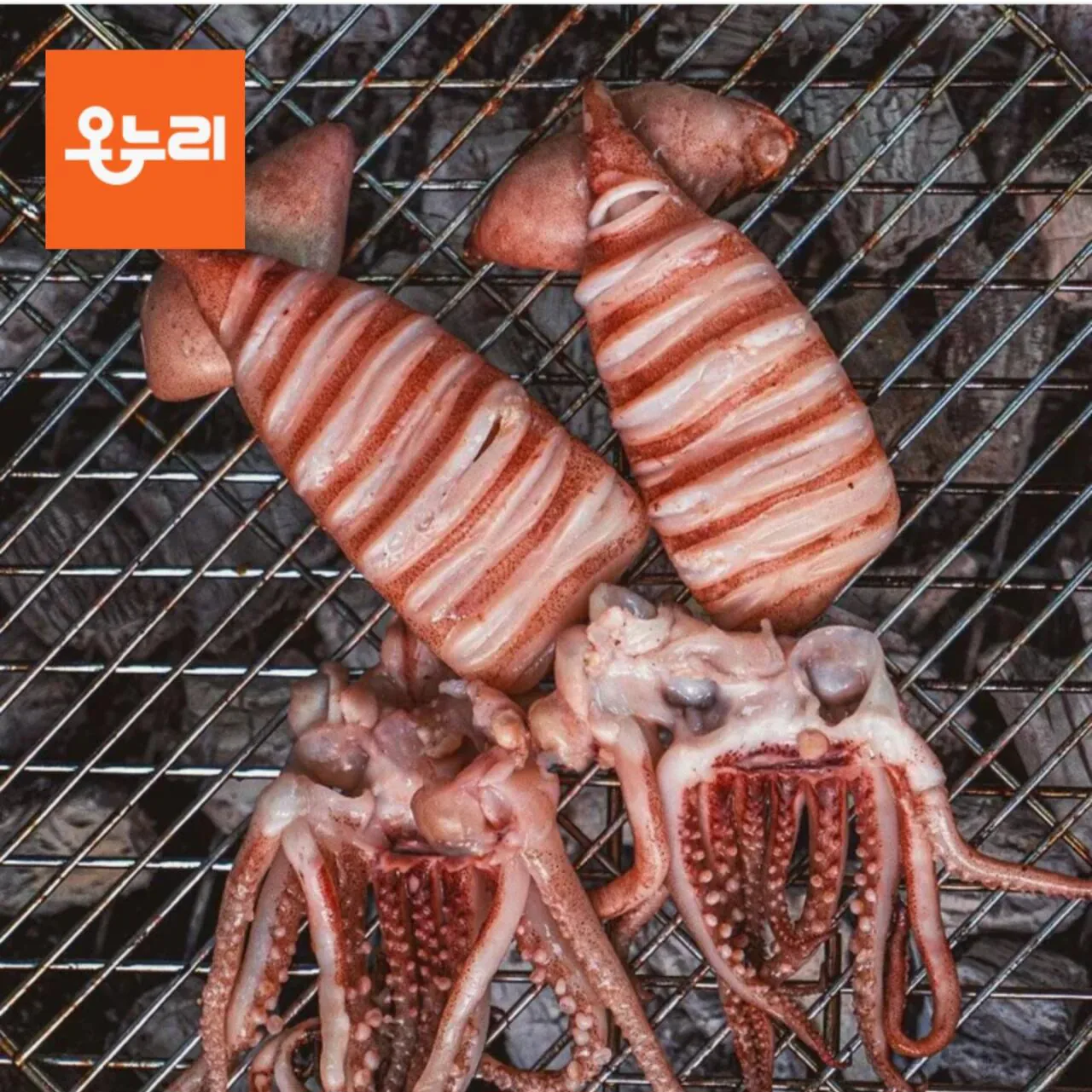 1775094702902.jpg [롯데온] 원양산 통오징어 600g 5-8미 (12,470원) (무료)