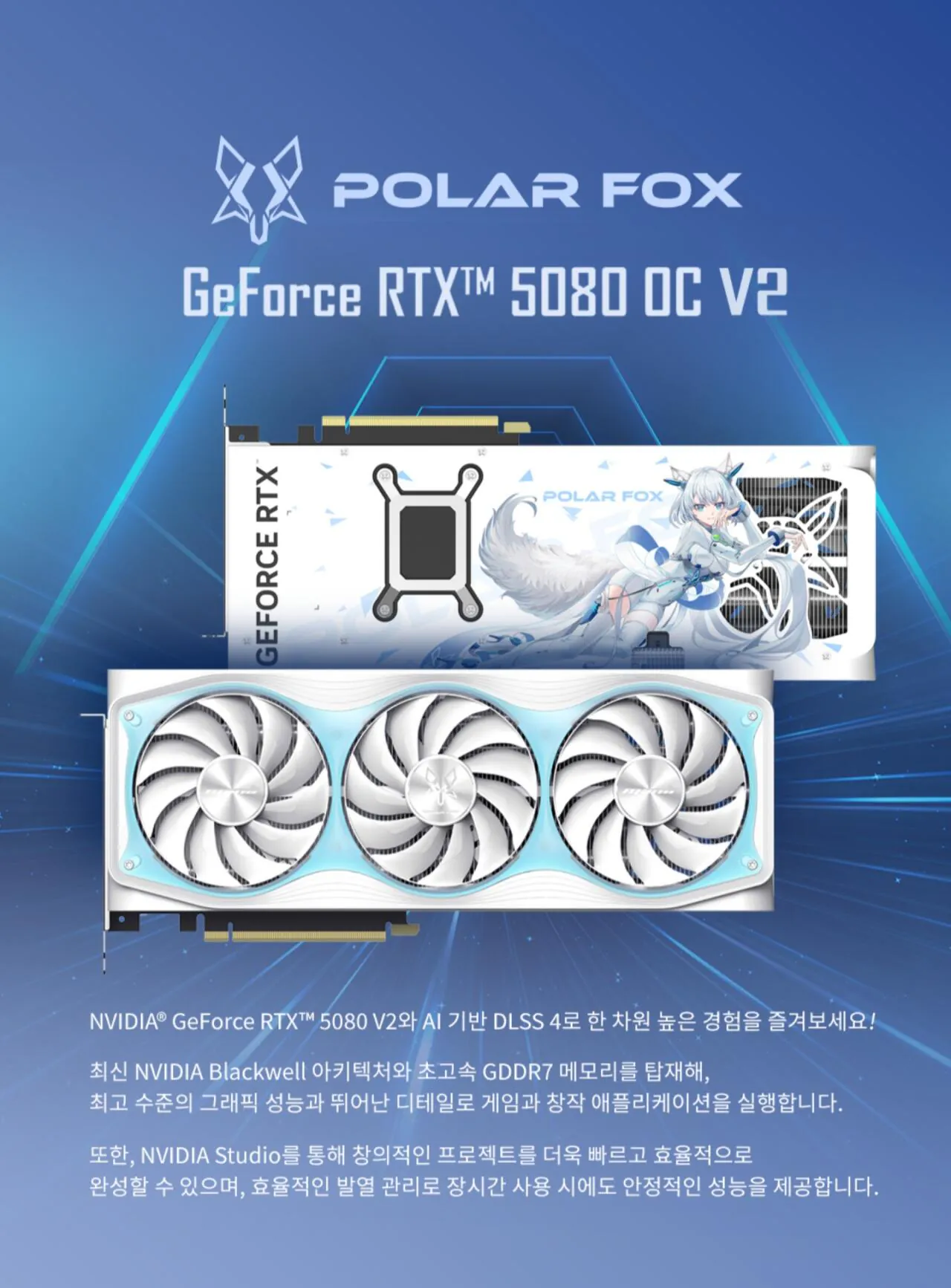 11070.jpg [G마켓] MANLI RTX 5080 Polar Fox D7 OC 16GB 인텍앤컴퍼니 (1,907,000원) (무료)