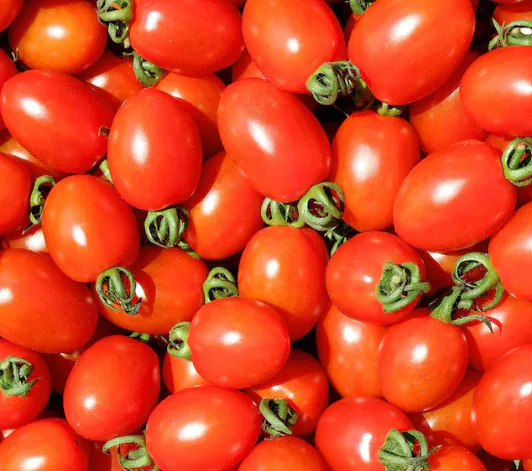 1.png [오늘의집] 대추방울토마토 2kg 로얄과 (10,688원) (무료)