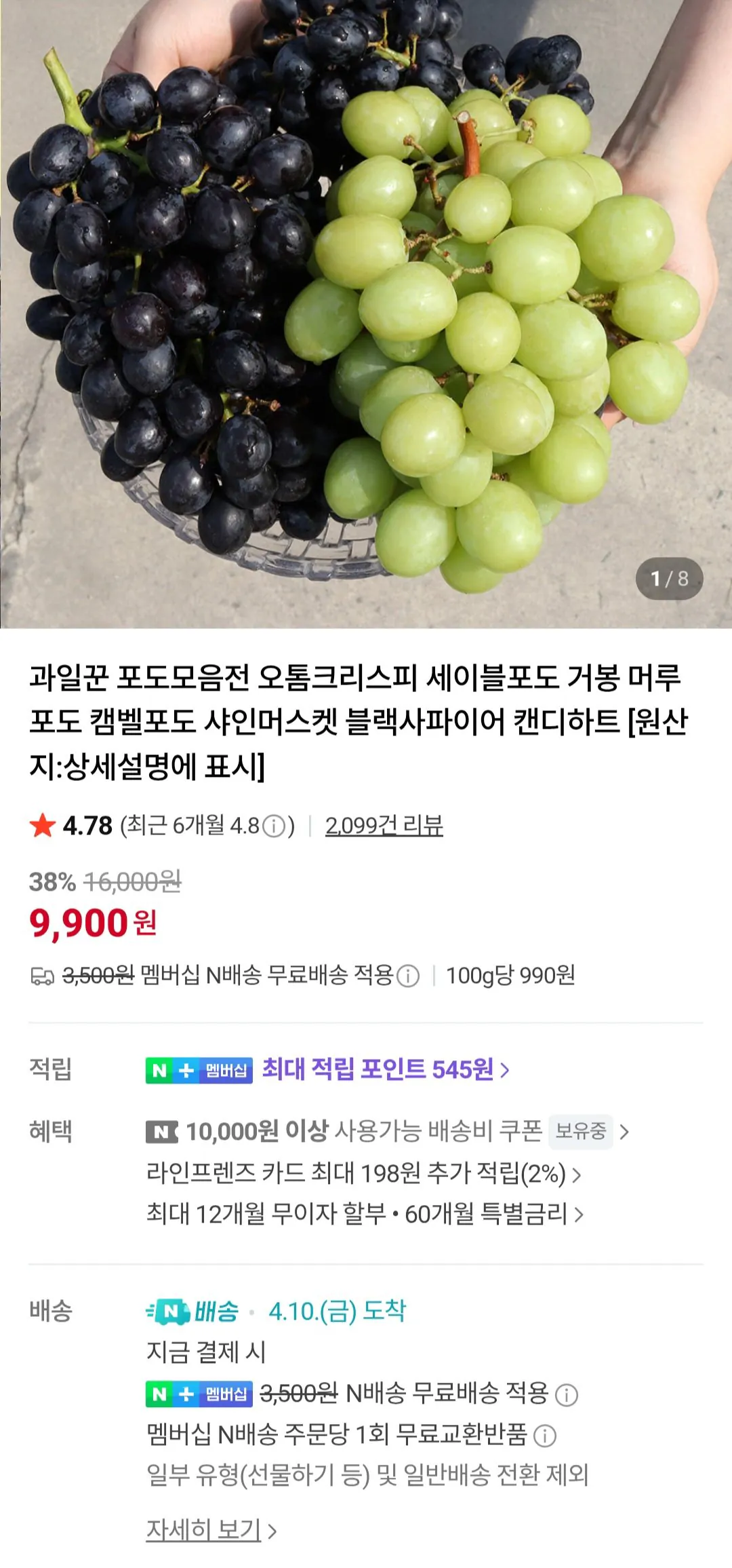 [네이버멤버십] 세이블포도 800g (5,900원) (네이버멤버십무료)