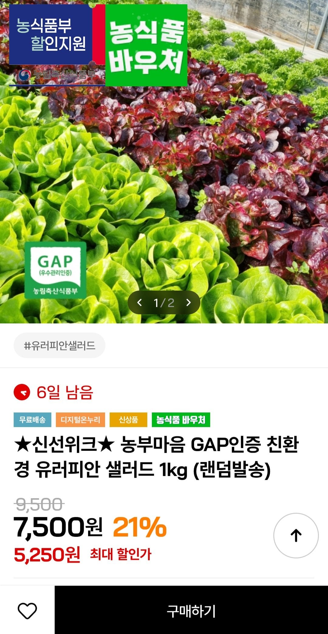 [인더마켓] 친환경 유러피안 샐러드 1kg (5,250원) (무료)