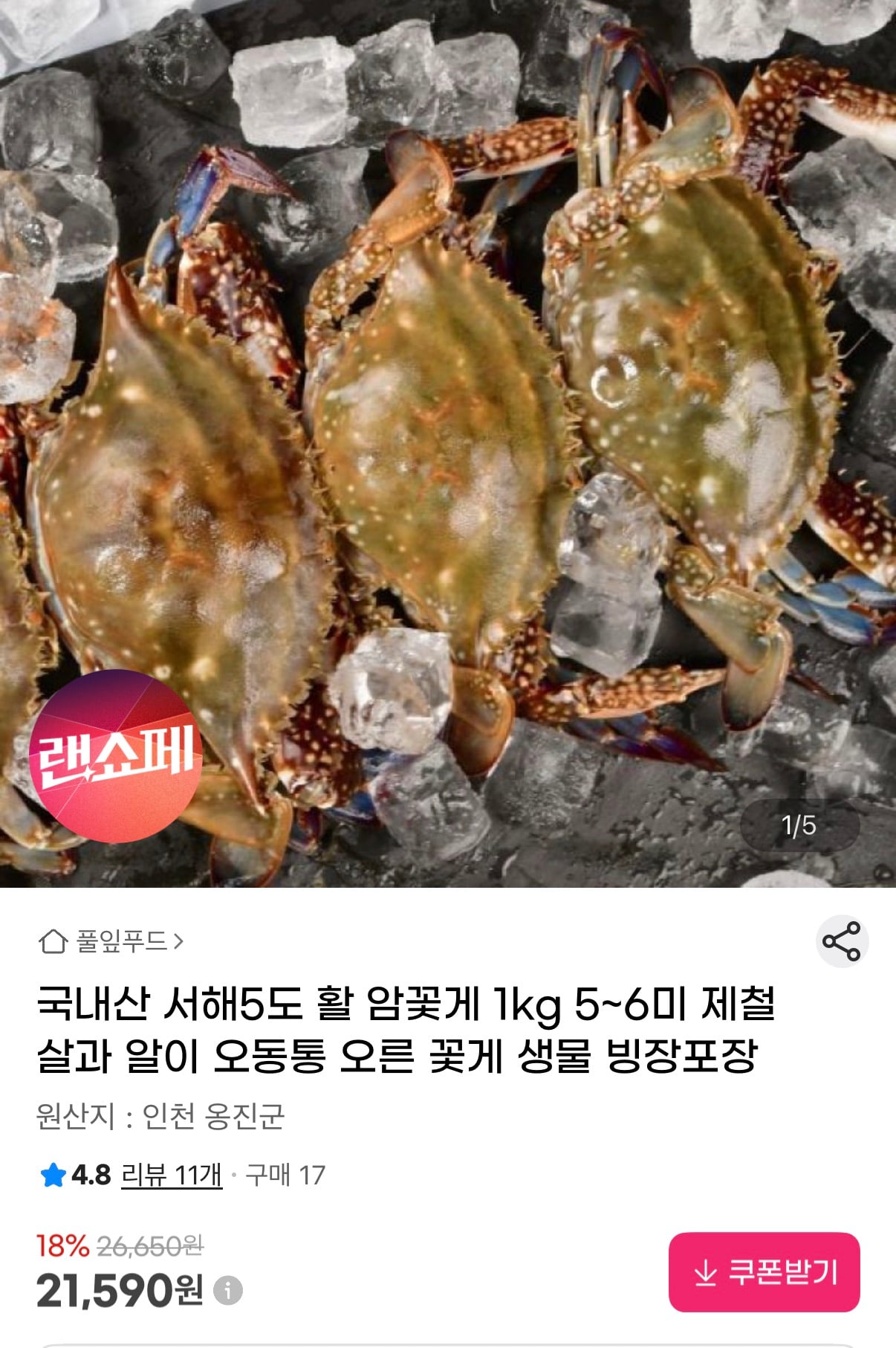퀘이사존