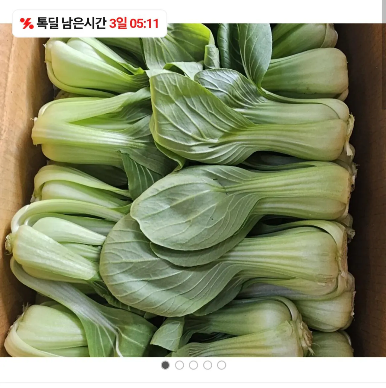 1000049328.jpg [카카오] 국내산 청경채 2kg 5,900원 / 꽃상추 2kg 내외 4,900원 (5,900원) (무료)
