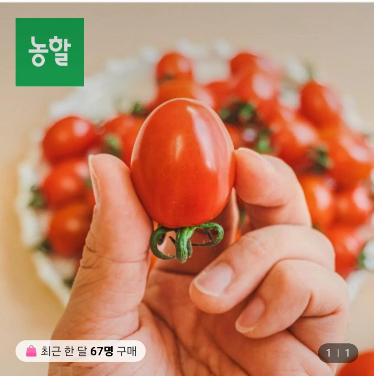 Screenshot_20260409_100408.jpg [롯데온] 대추방울토마토 2kg 1-3번 로얄과 (9,650원) (무료)