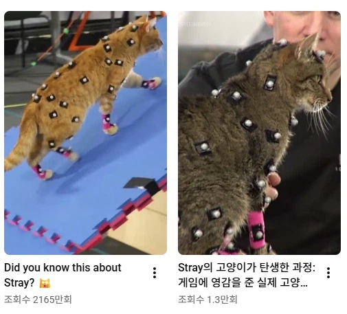 [스팀] Stray -40% OFF / 19,200원_3.webp