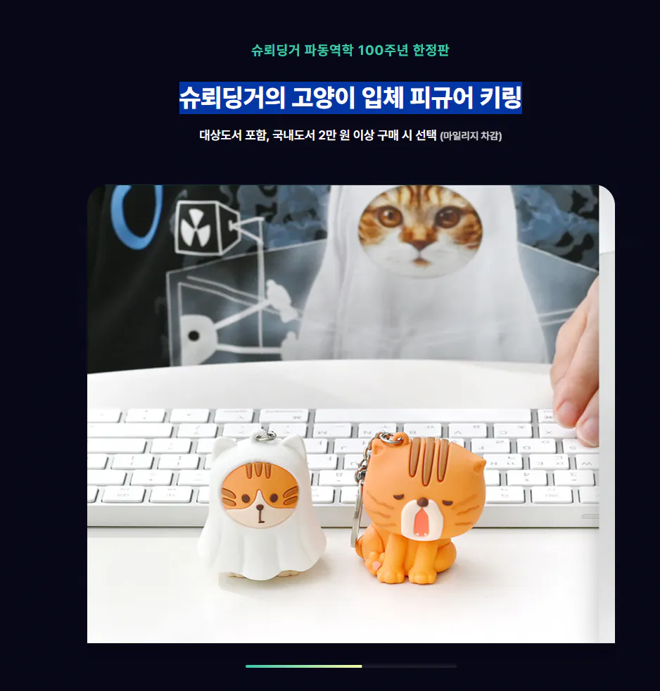 image.png [알라딘] 슈뢰딩거의 고양이 입체 피규어 키링 (7,500원) (무료0(조건부))