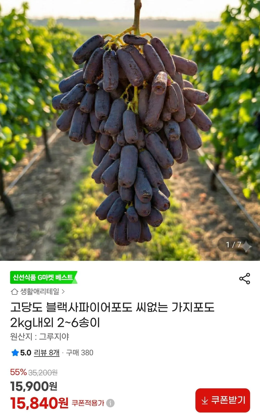 Screenshot_20260410_142406_G.jpg [지마켓] 블랙 사파이어 포도 2kg내외 (15,840원) (무료)