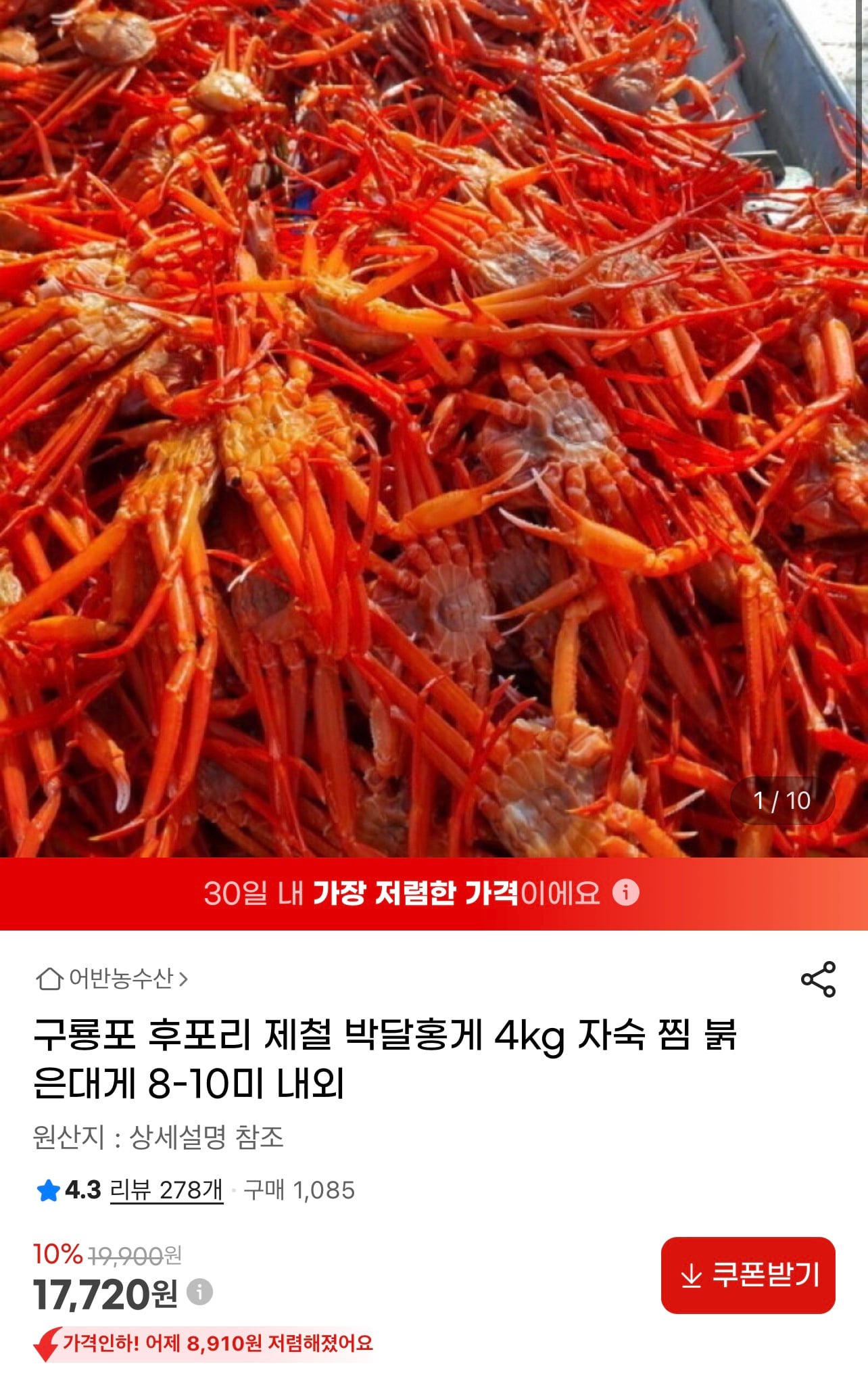 퀘이사존