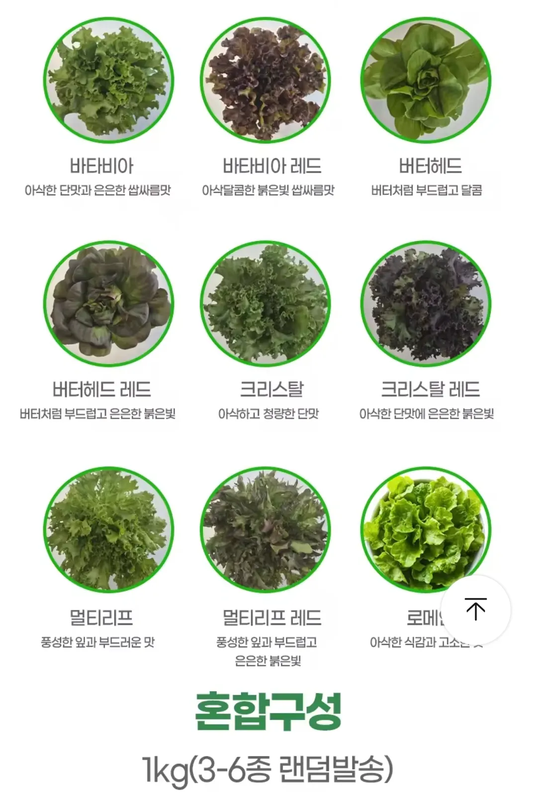 image.png [알리] (코인딜) 프리미엄 유러피안 샐러드 쌈채소 1kg내외(3-6종랜덤) (3,972원) (무료)