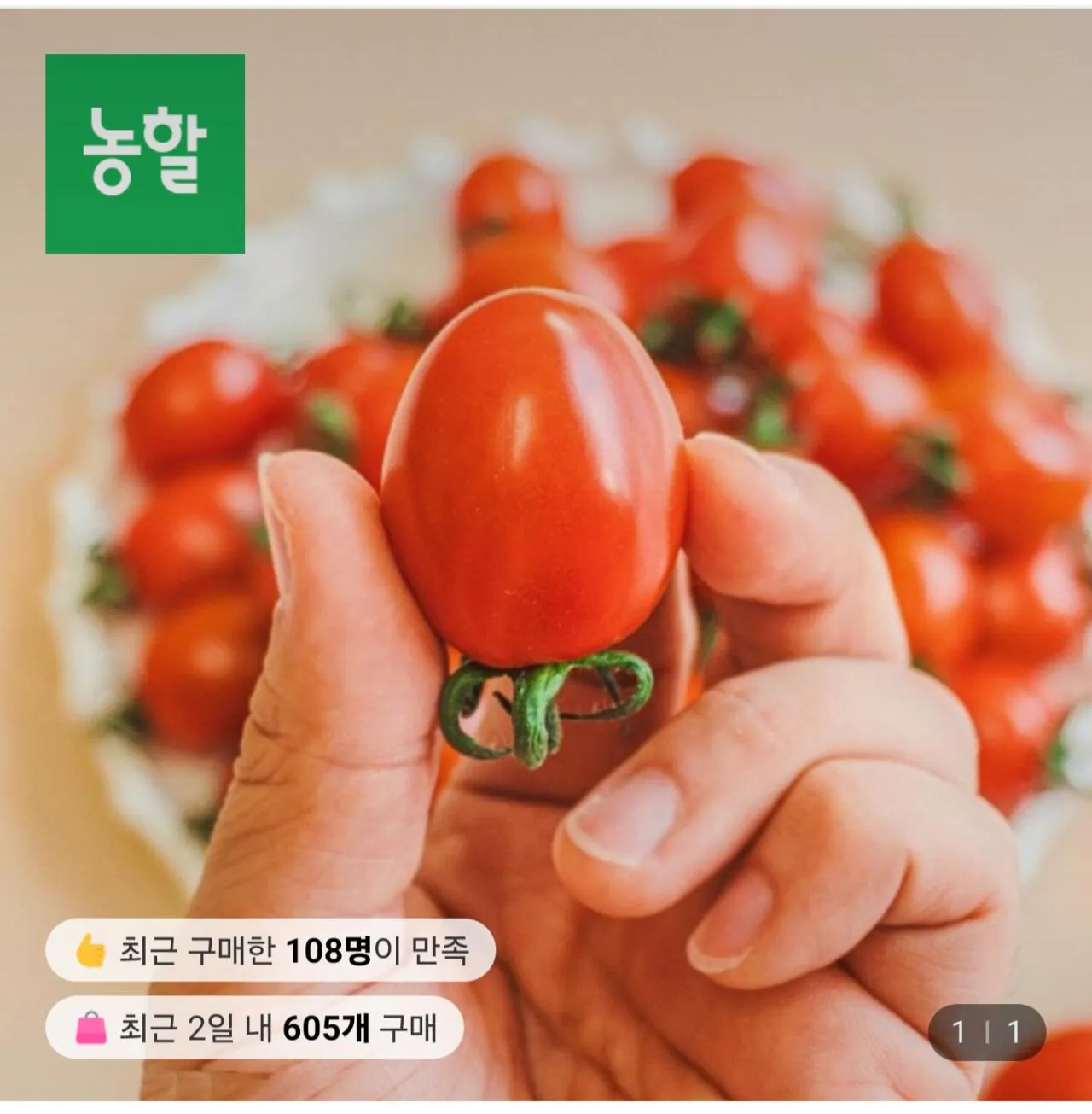 1000049621.jpg [롯데온] 대추방울토마토 2kg 로얄과 1-3호 (9,650원) (무료)