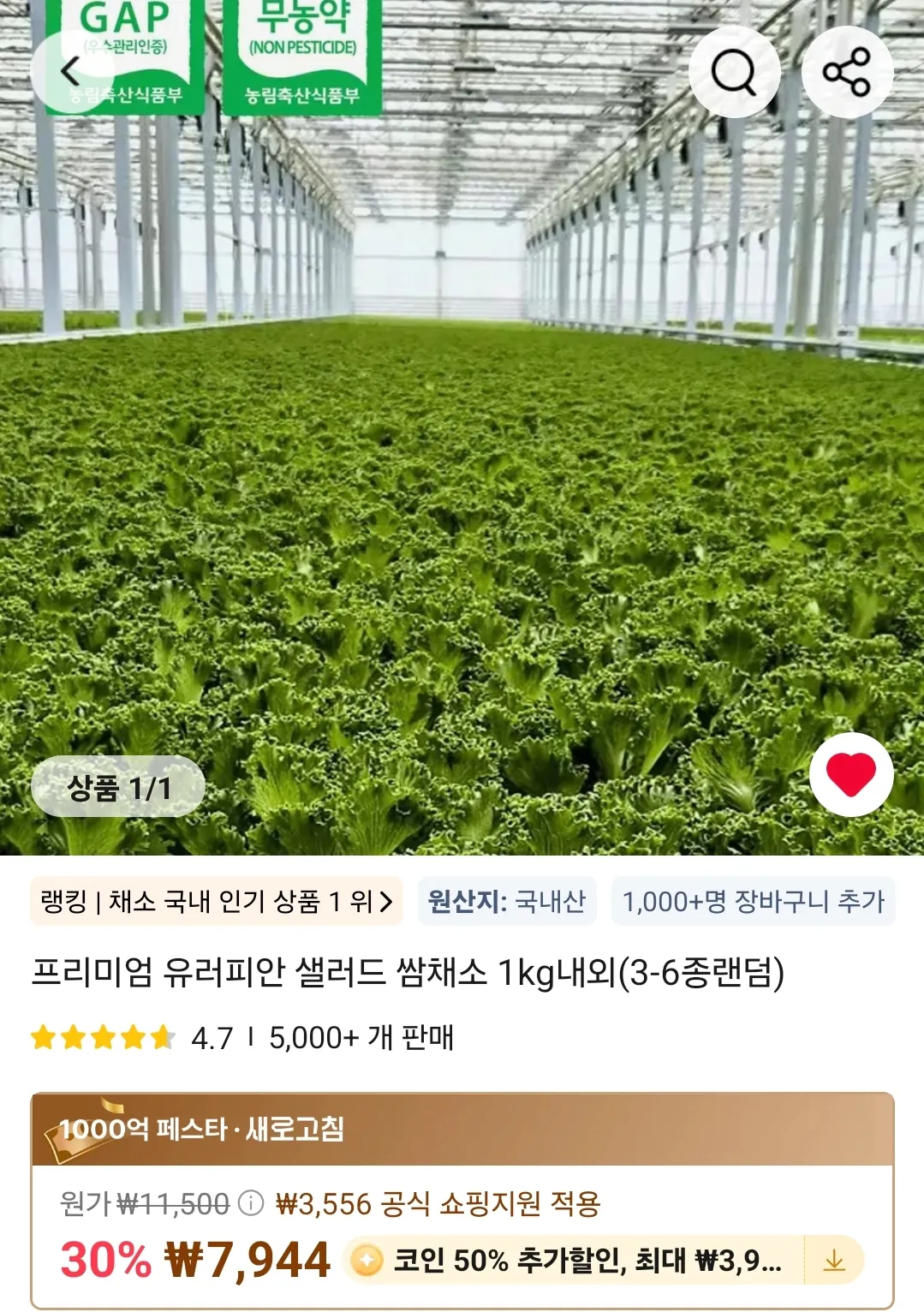 image.png [알리] (코인딜) 프리미엄 유러피안 샐러드 쌈채소 1kg내외(3-6종랜덤) (3,972원) (무료)