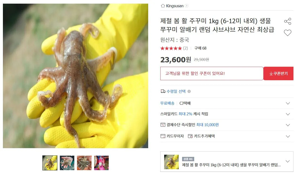 화면 캡처 2026-04-14 143703.jpg [옥션] 제철 봄 활 주꾸미 1kg (6-12미 내외) (23,600원) (무료)