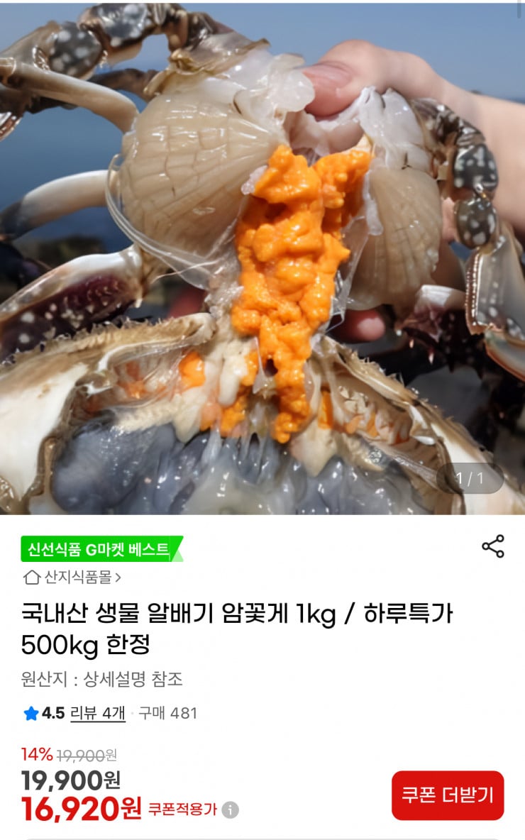 퀘이사존