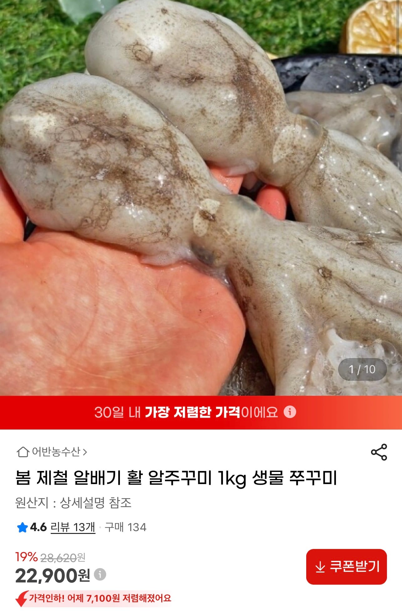 퀘이사존