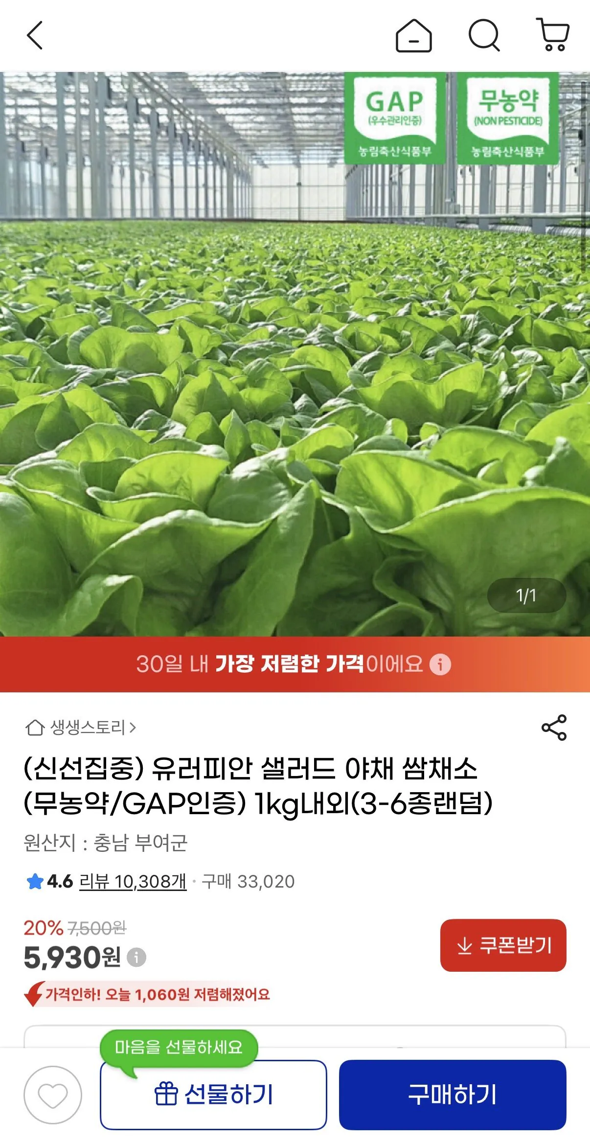 IMG_8240.jpeg [지마켓] 유러피안 무농약 샐러드 야채 1KG (5,930원) (무배)