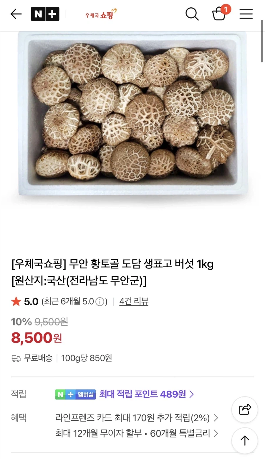 [네이버] 무안 황토골 생표고버섯 1kg (7,560원/무배)_1.webp
