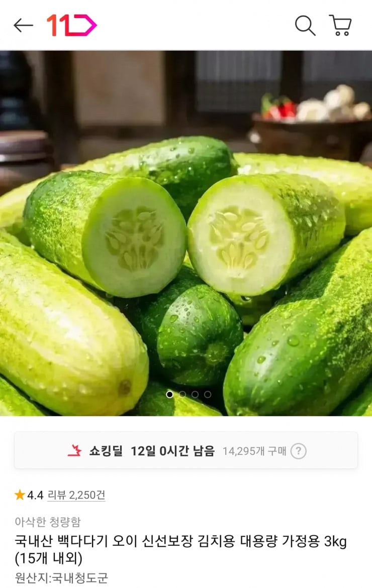 퀘이사존
