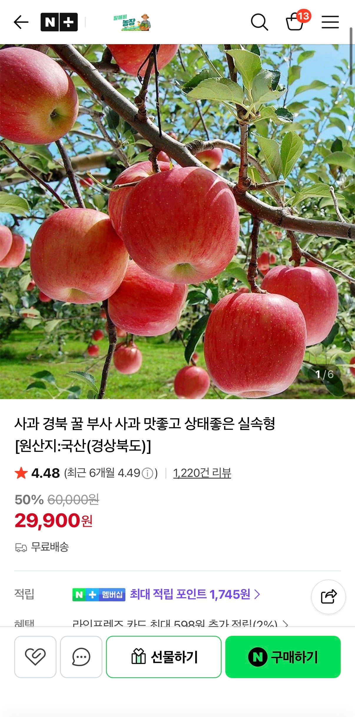 퀘이사존