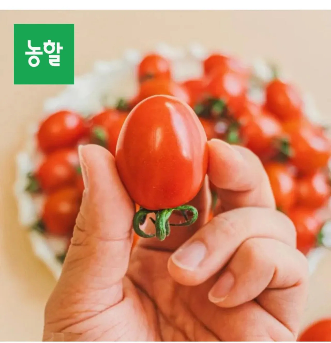 1000003230.jpg [롯데온] 대추방울토마토 2kg 로얄과 1-3호 (9,450원) (무료)