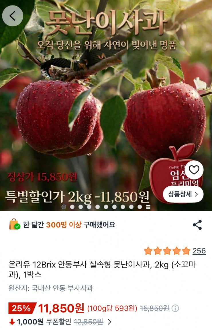 퀘이사존