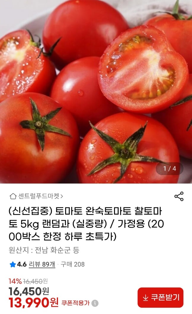 퀘이사존