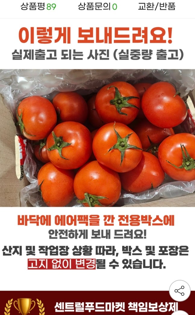퀘이사존