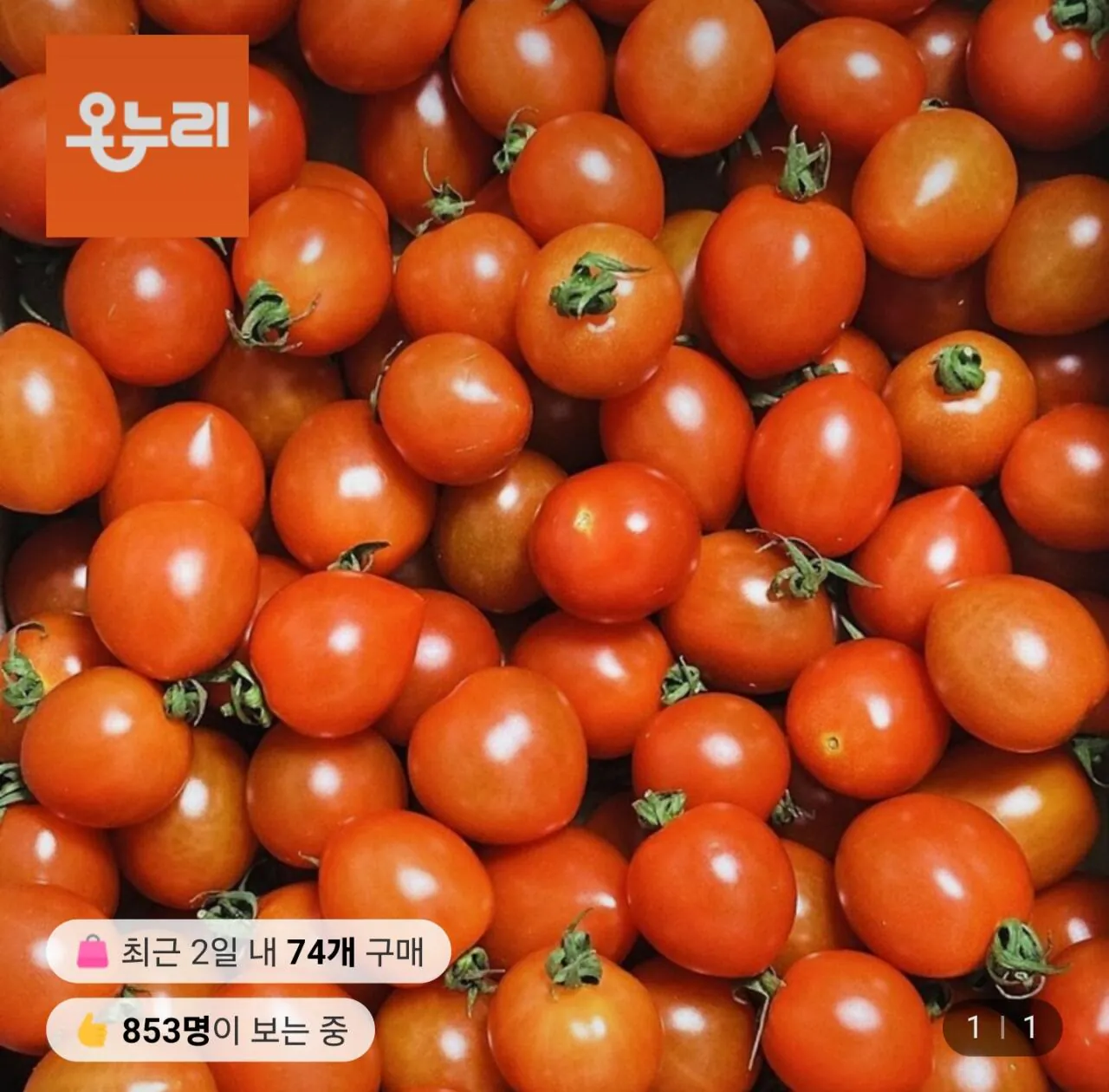 1000030782.jpg [롯데온] 대추방울토마토 5kg (15,590원) (무료)