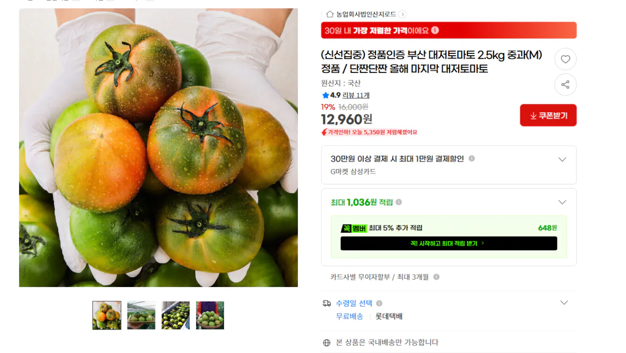 image.png [지마켓] 부산 대저 짭짤이 토마토 2.5kg (12,960원) (무배)