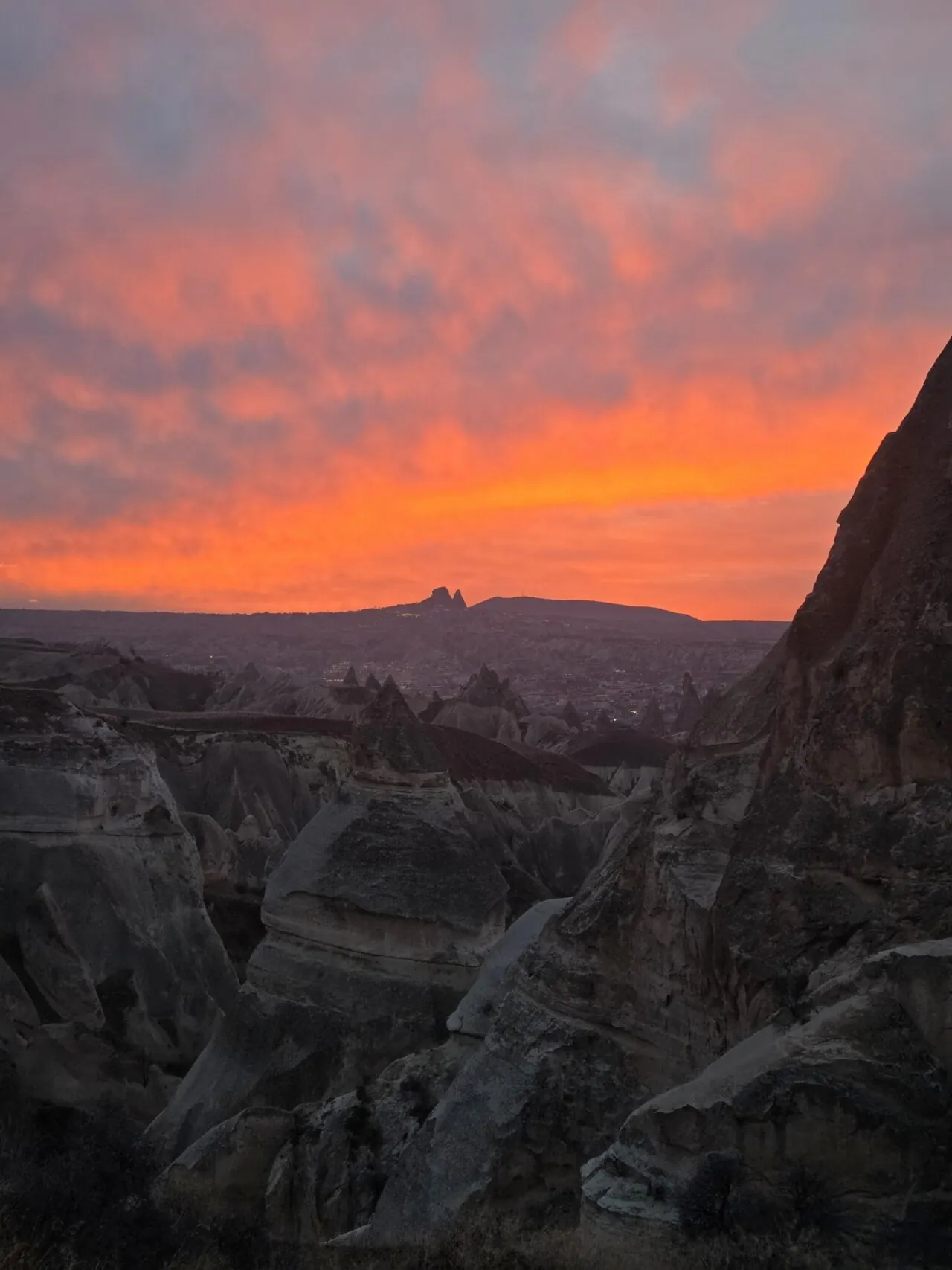 로즈베리.jpg [아시아나 공홈] 5,6,7월 중 인천 이스탄불 왕복 직항 (수하물 23kg 포함) (885,600원) (무료)