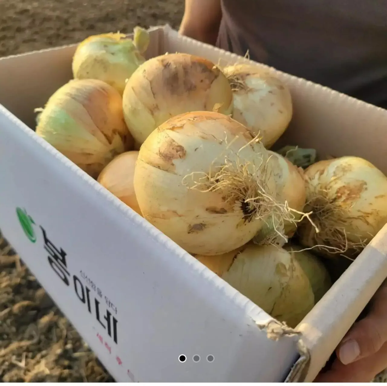 1000051182.jpg [Đường 11] 5kg tươi hành (Thẻ Shinhan) (5.850 won) (Miễn phí)