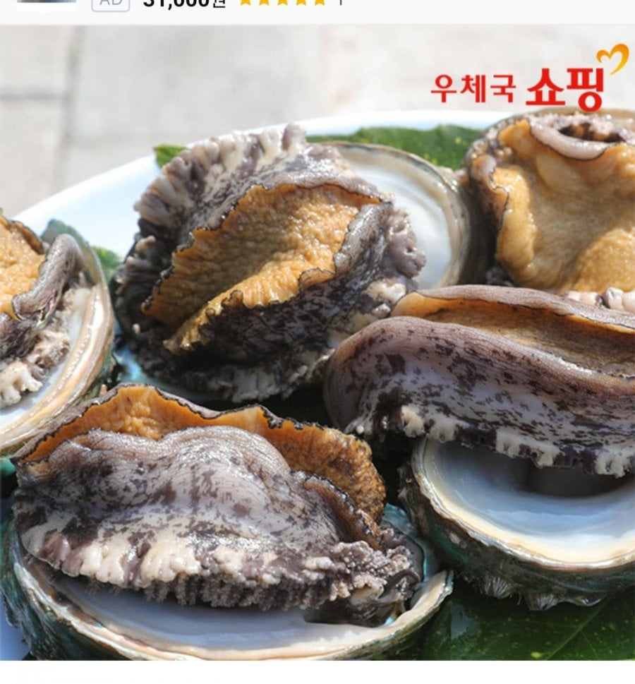 20260503000536_eE9itBrmWV.jpg