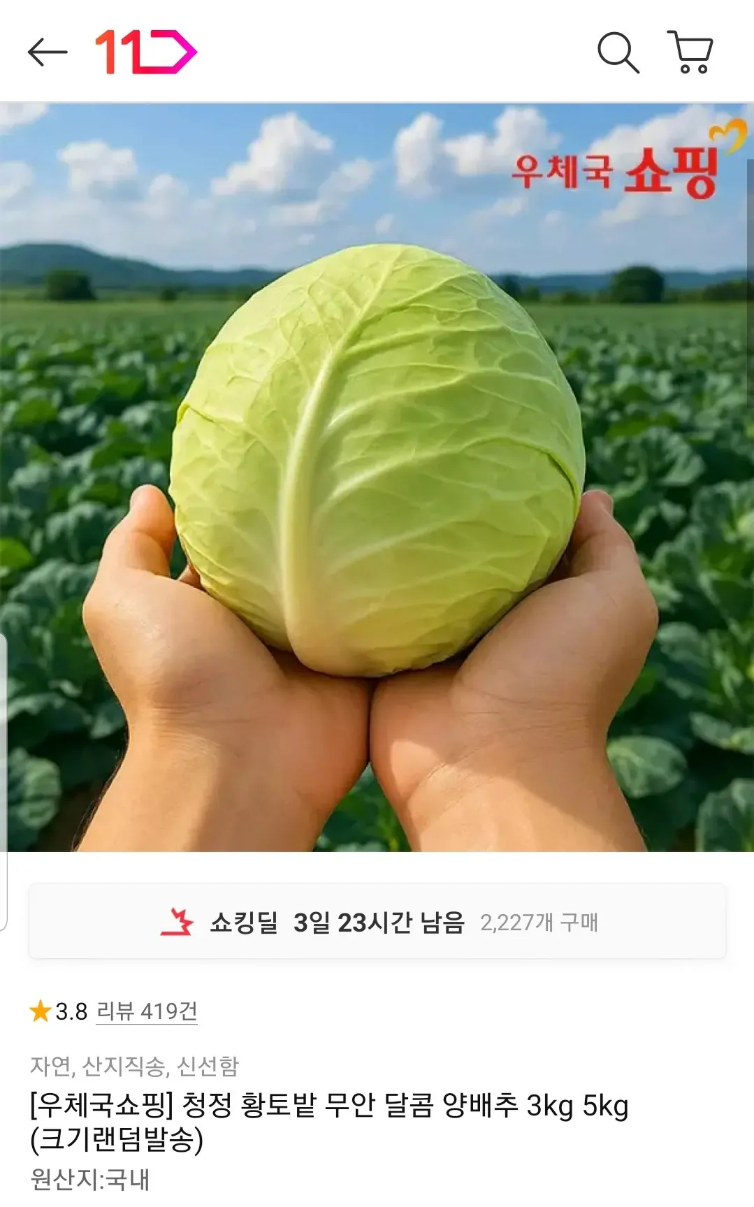 Screenshot_20260504-001747_11st.jpg [11번가] 무안 양배추 3kg (4,490원) (무료)