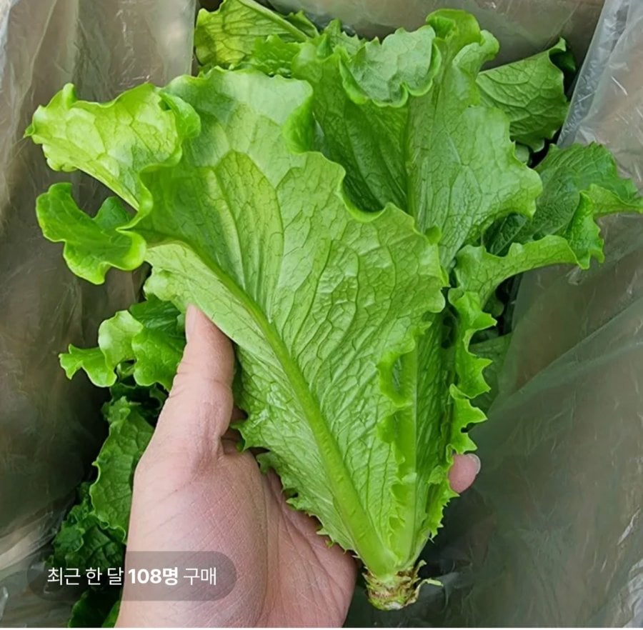 20260507010217_UeJyzI5ngA.jpg