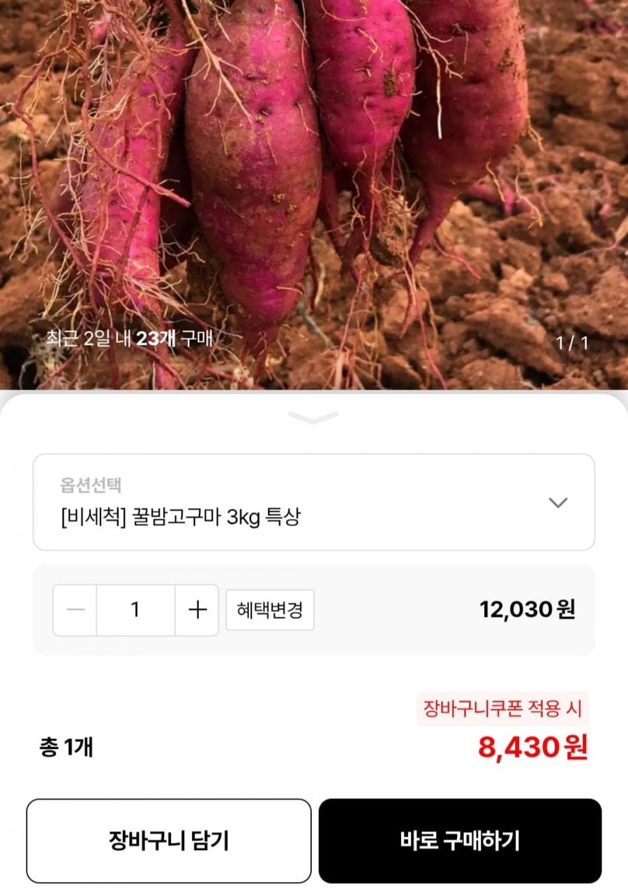 20260512210233_kFrFWBokki.jpg