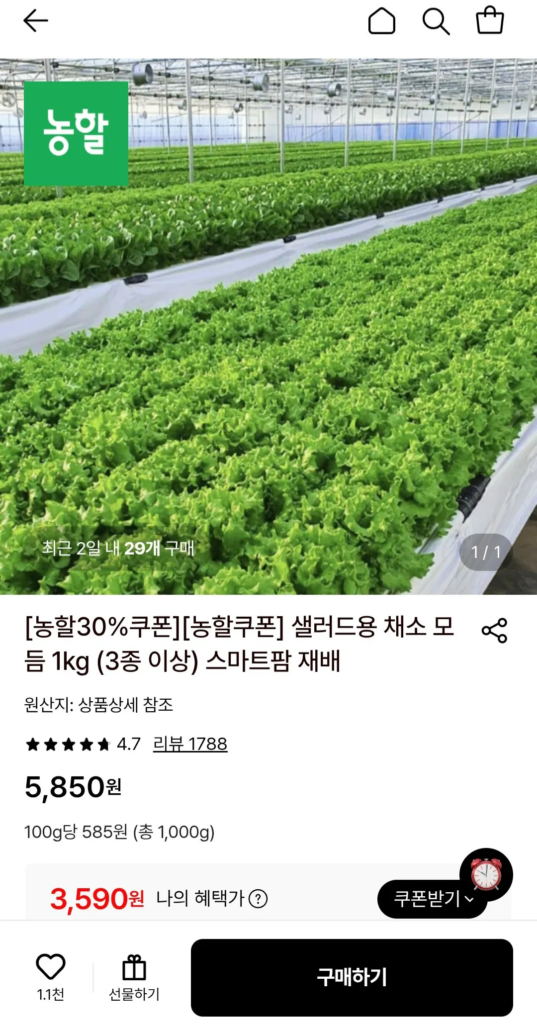 1000006386.jpg [Lotte On] Salad rau các loại 1kg (3 loại trở lên) (3.590 KRW) (Miễn phí)