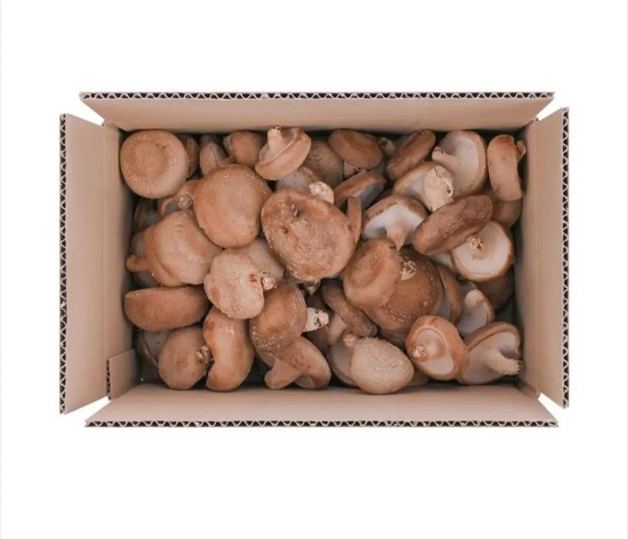 1000030824.jpg [Chợ Namdo] 1kg xấu xí nấm shiitake (6.320 KRW) (miễn phí)