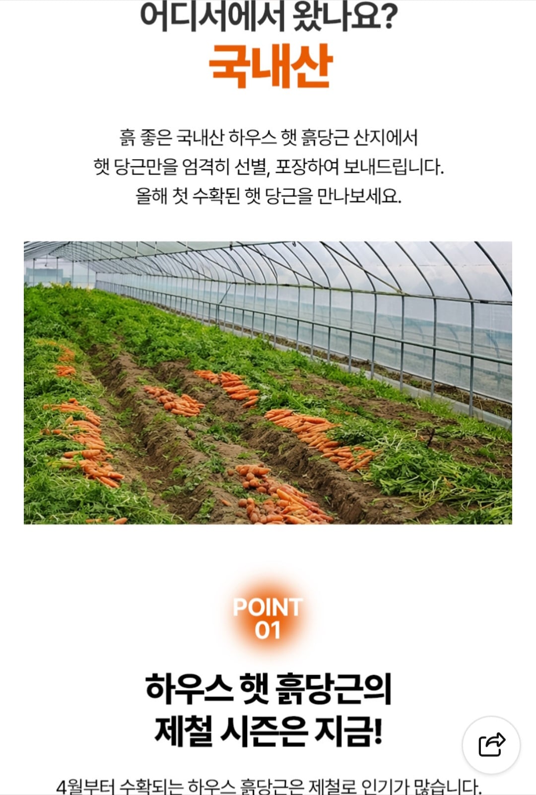퀘이사존