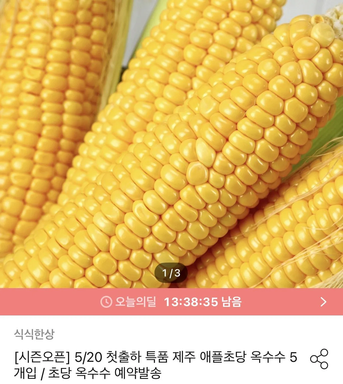 [Ngôi nhà hôm nay] [Giao hàng đặt trước] 18/5 Lô hàng đầu tiên giống ngô mới Jeju Chodang đặc biệt 5 miếng và ngô Chodang (12.972 won) (Miễn phí)
