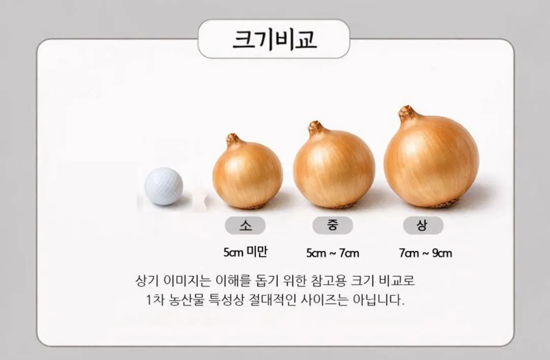[Mua sắm tại bưu điện] 3kg hành tươi từ cánh đồng đất sét đỏ Muan 26 tuổi (3.100 won) (Miễn phí)