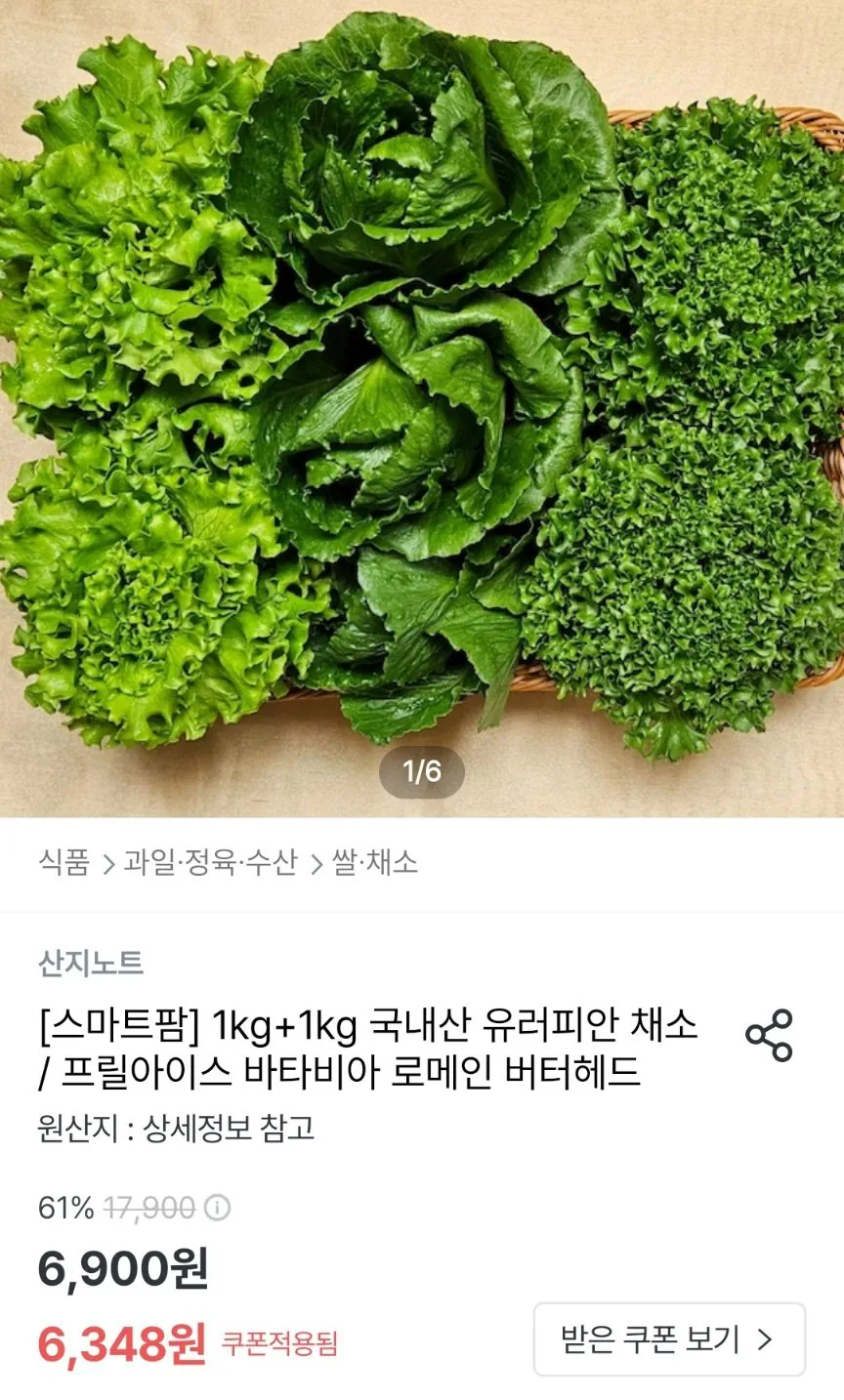 1000003601.jpg [Ngôi nhà ngày nay] Nội địa Châu Âu Vegetables 1kg+1kg (KRW 6,348) (Free)