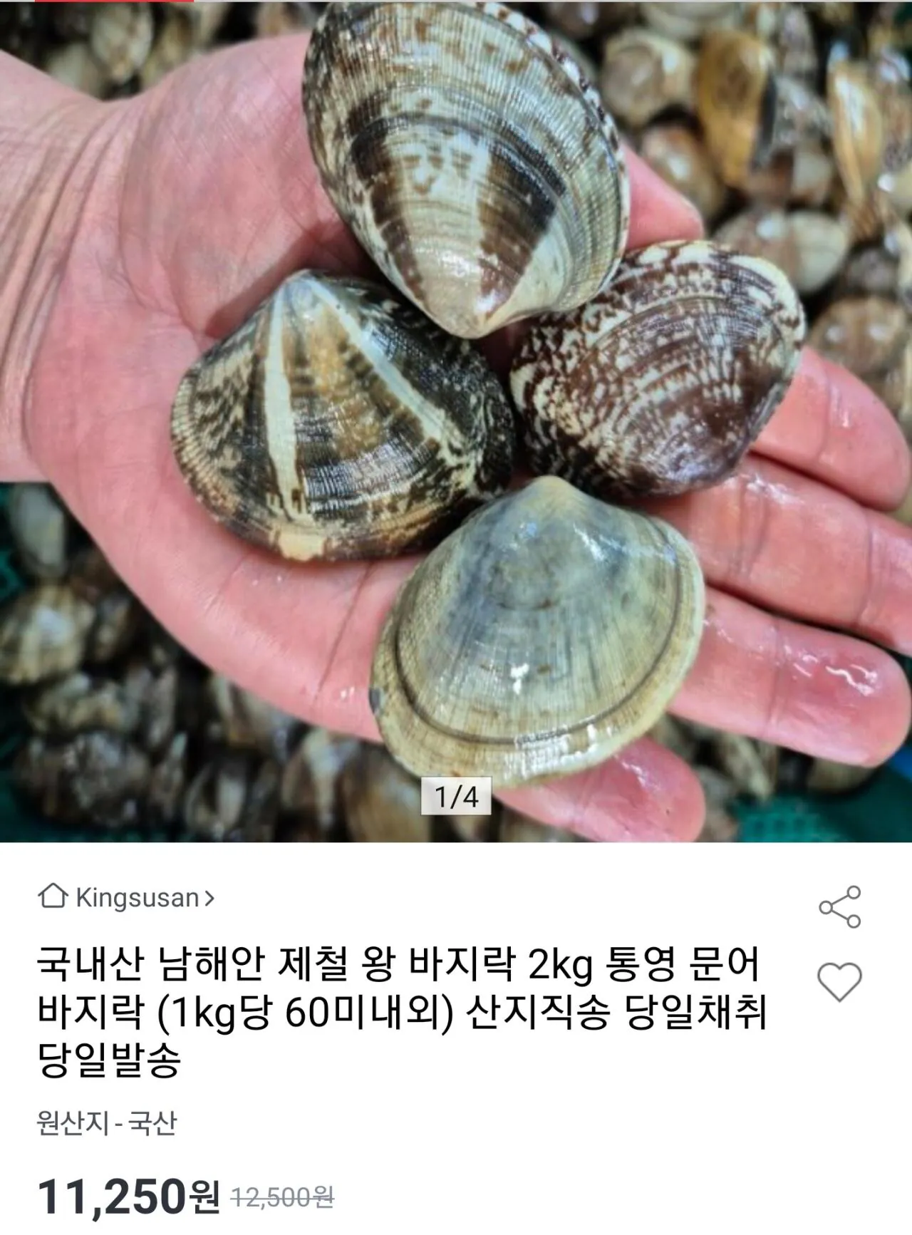 Screenshot_20260519-115003.jpg [Đấu giá] Ngao bạch tuộc nội địa South Coast 2kg, khoảng 120 (11.250 KRW) (miễn phí)