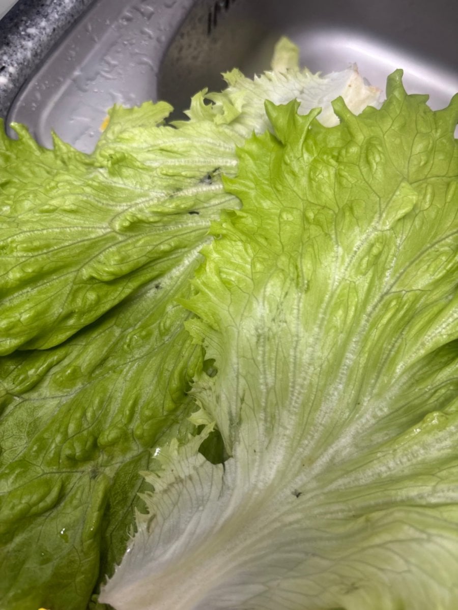 20260520182822_fdBbnrDjVB.jpeg