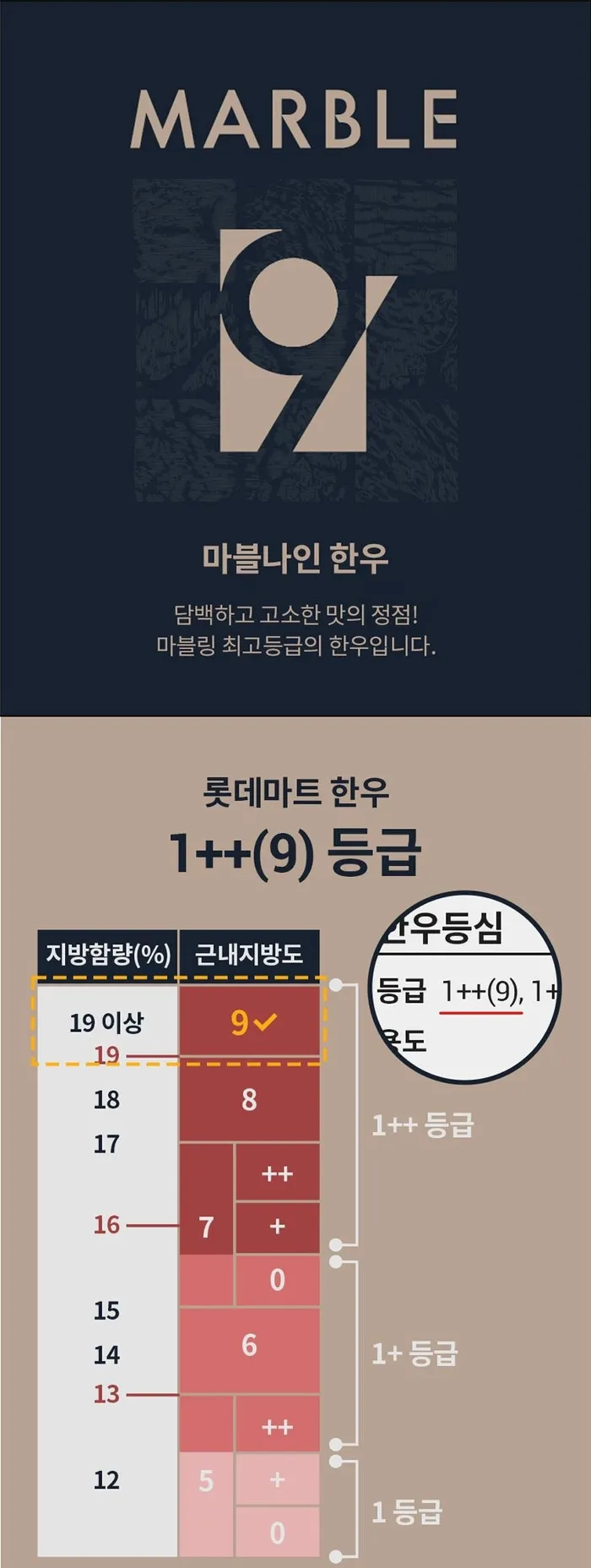 퀘이사존
