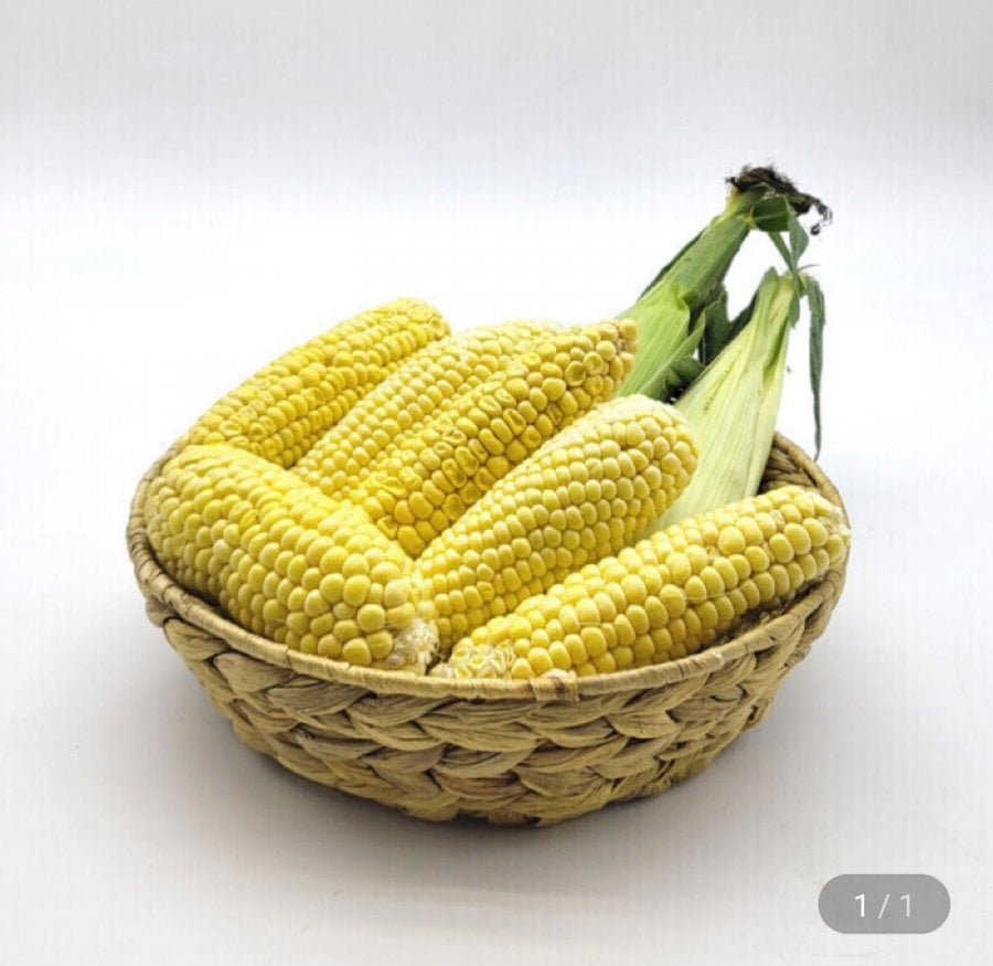 20260521100533_U2cmeNHfvw.jpg