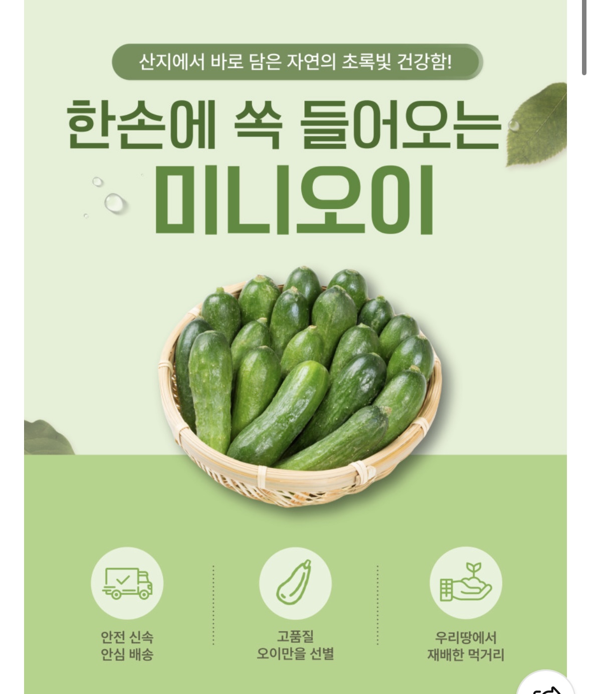 퀘이사존
