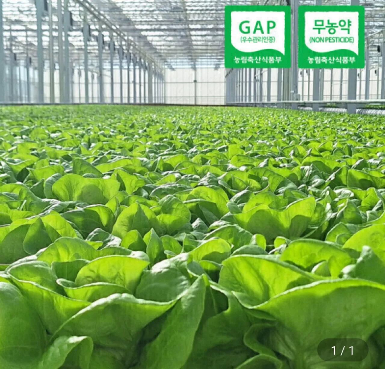 1000030842.jpg [지마켓] 유러피안 샐러드 1kg (4,940원) (무료)