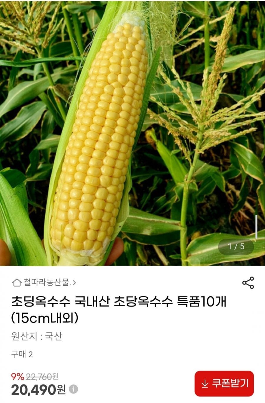 20260602001933_ZfYs3hZ9au.jpg