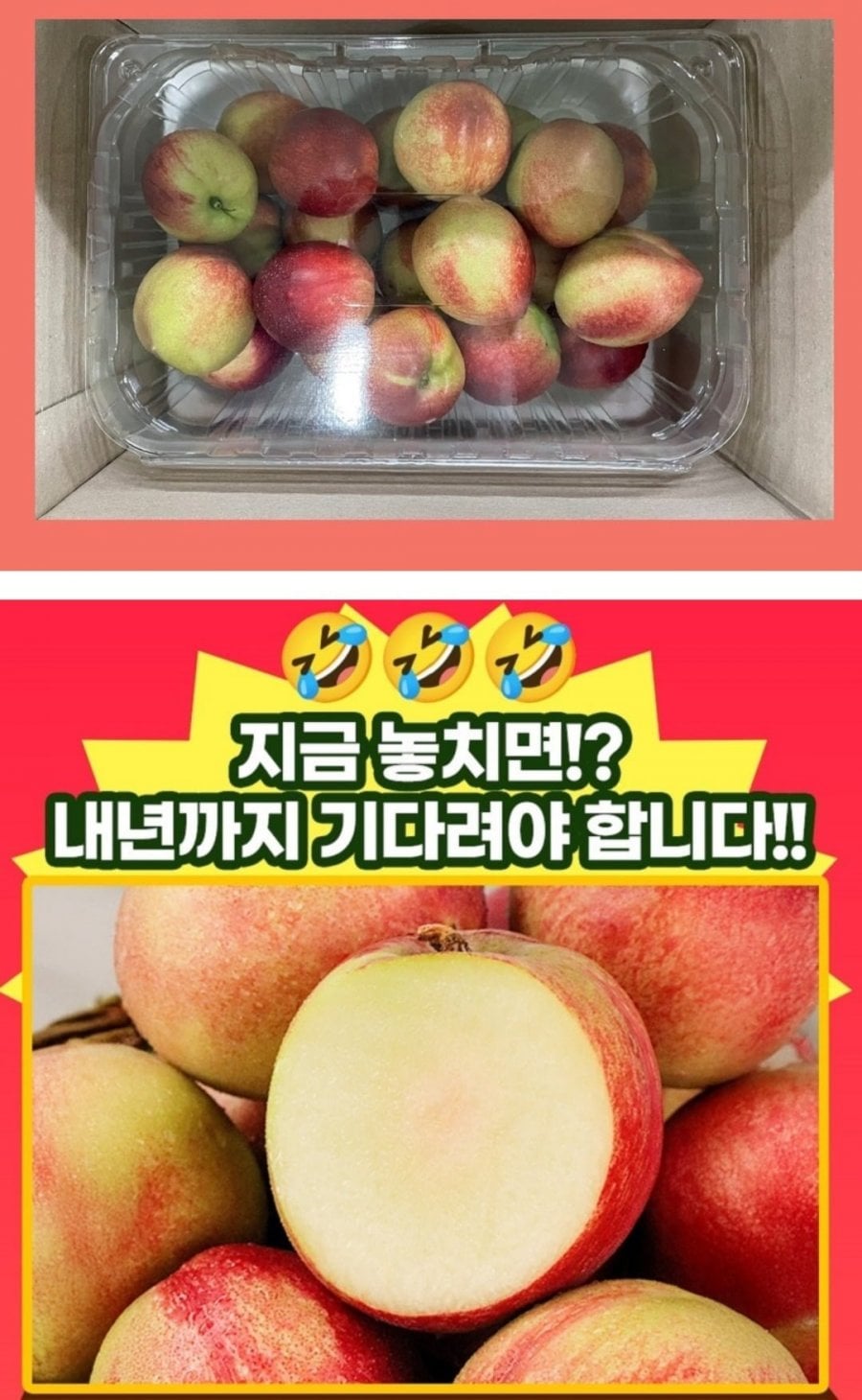 20260604184609_wtwdtgxsrk.jpg