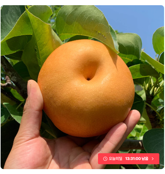 image.png [오늘의집] 나주배 신고배 3kg (6,210원) (무료)